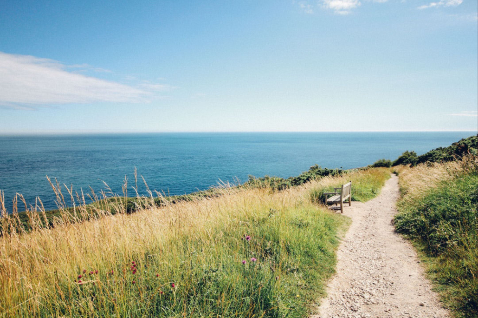 path2.jpg